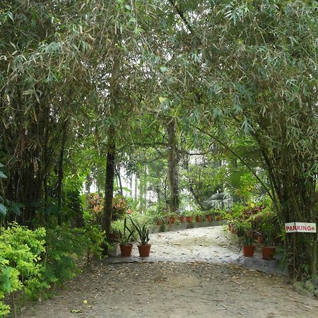 Coffee Island Resort Kaniyambetta Luaran gambar