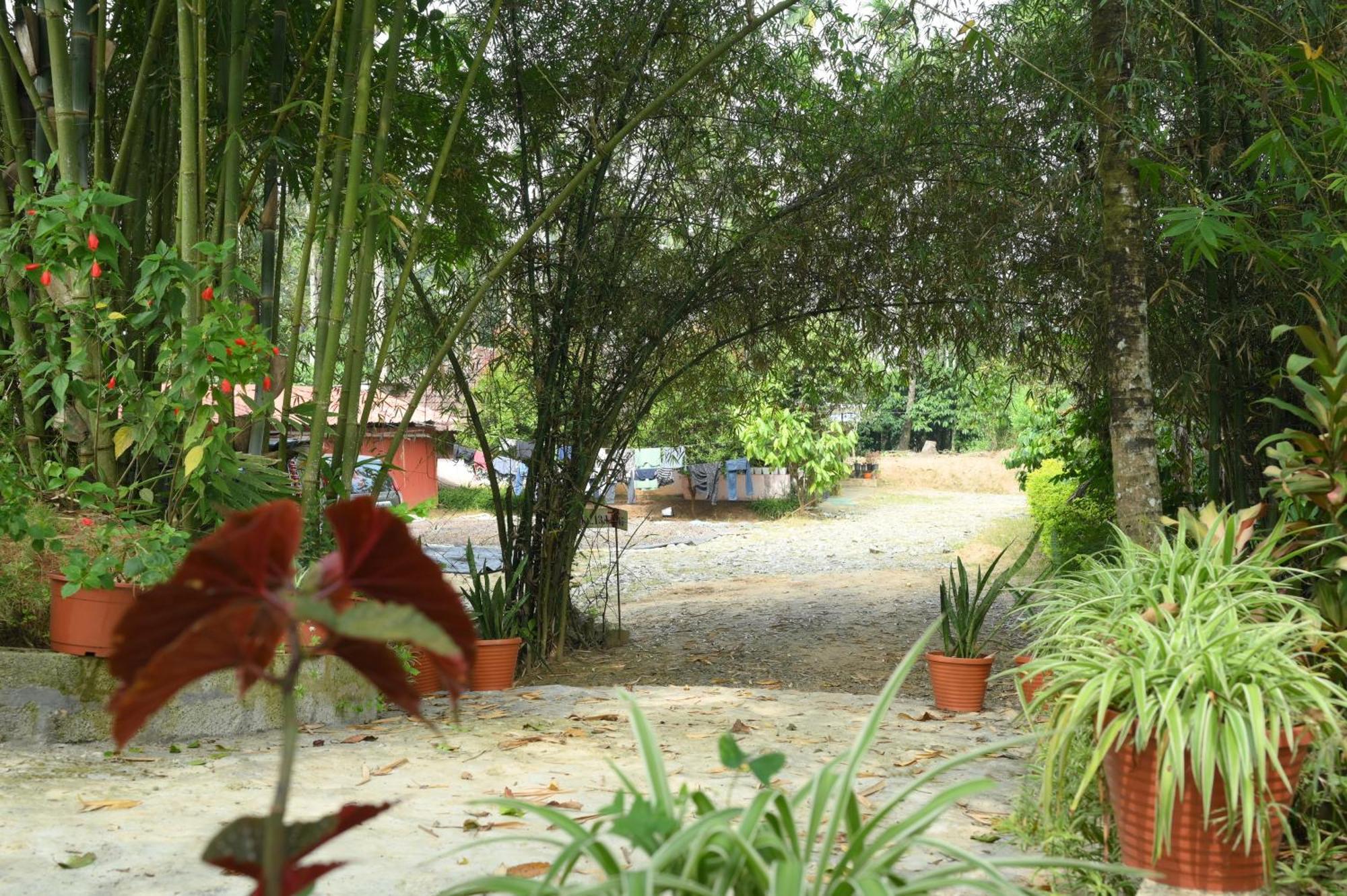 Coffee Island Resort Kaniyambetta Luaran gambar
