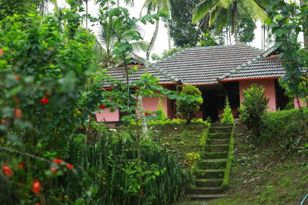 Coffee Island Resort Kaniyambetta Luaran gambar
